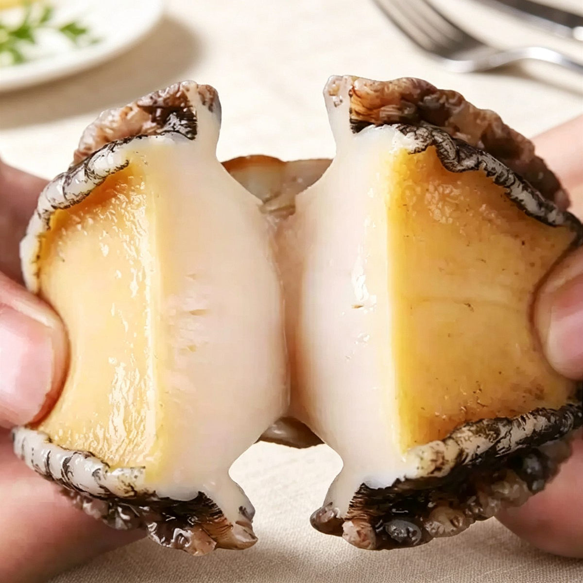 Premium Fresh-Frozen Shell-Removed Abalone Meat